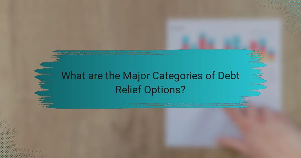 What are the Major Categories of Debt Relief Options?