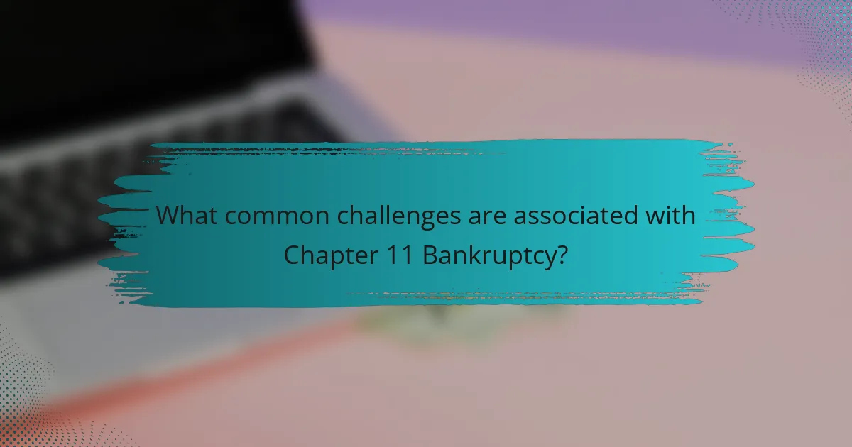 What common challenges are associated with Chapter 11 Bankruptcy?