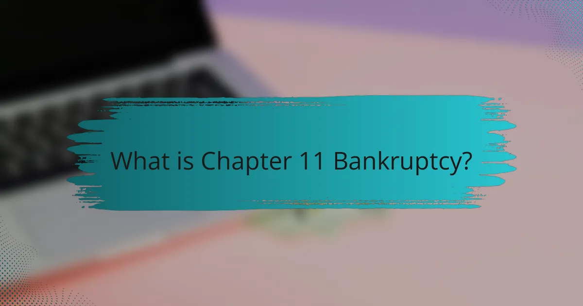 What is Chapter 11 Bankruptcy?